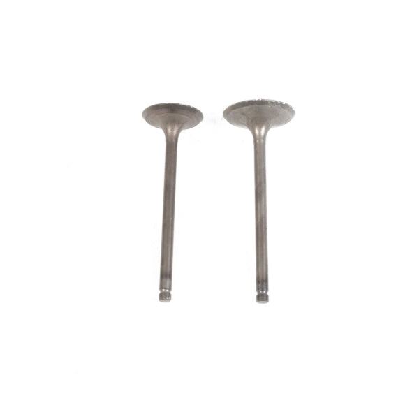 ENGINE VALVE SET GG-3021