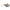 503G EBC BRAKE SHOES FT/RR