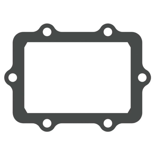 PETAL GASKET KIT VFORCE BRP