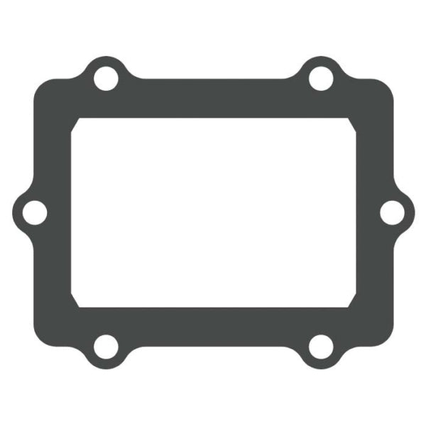 PETAL GASKET KIT VFORCE POL