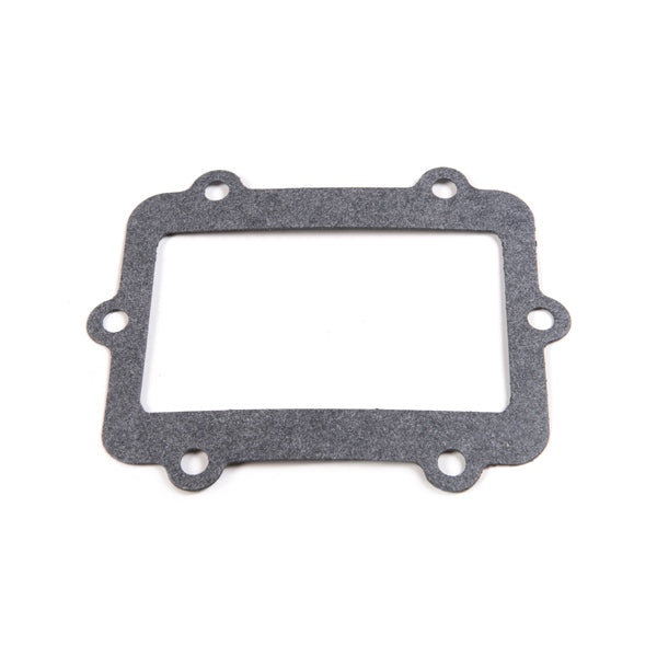 PETAL GASKET KIT VFORCE POL