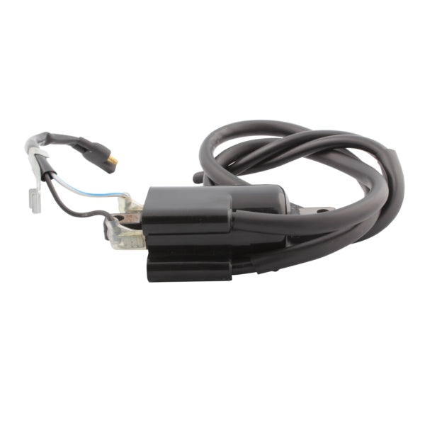 IGNITION COIL BRP KIMPEX
