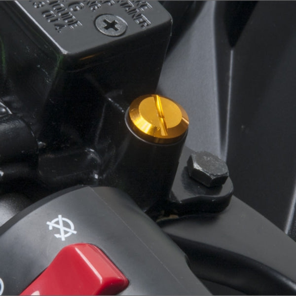 MIRROR HOLE PLUG M10 GOL