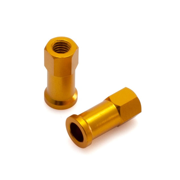 RIM LOCK NUT GOL QTY2 DRCZETA