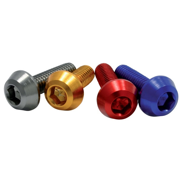 SCREW M6X35MM STEEL QTY25 DRCZETA