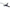 PERCHE FP TP-M 3-FIN TIT/BL
