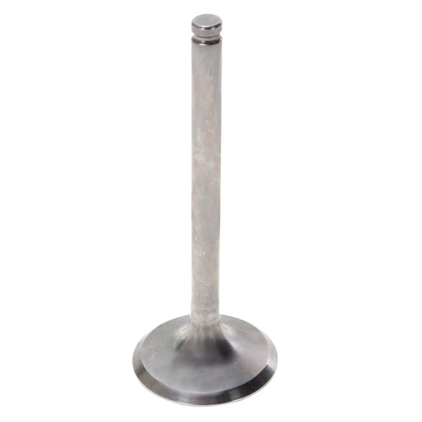 EXHAUST VALVE TITANIUM YAM HOTCAMS