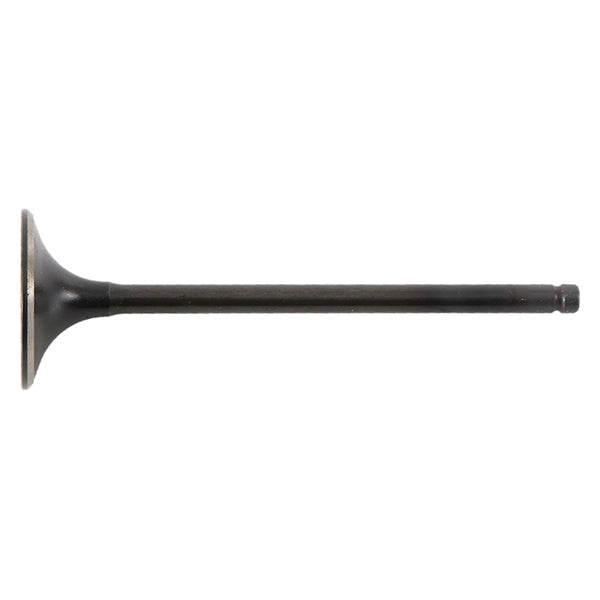INTAKE VALVE STEEL HON HOTCAMS
