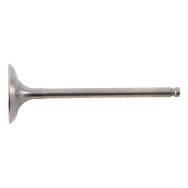 INTAKE VALVE TITANIUM YAM HOTCAMS