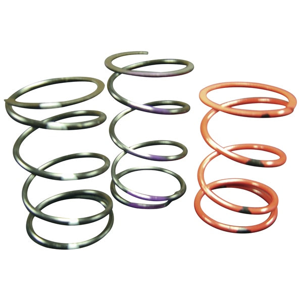 SPRING SECONDARY RD/GR TEAM