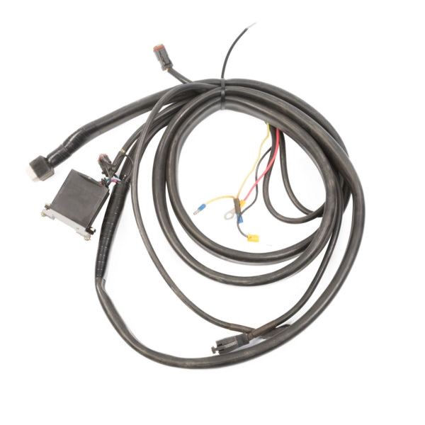WIRE ASSEMBLY BERCOMAC