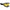 GOGG WIN 210 TRAIL BK MAT LD/YE CTRL CKX