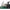 WINDSHIELD HALF FOLDING FT POL