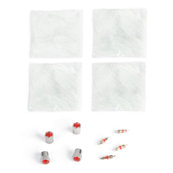 BAG W/BEADS & VALVE CAP 3 OZ QTY4