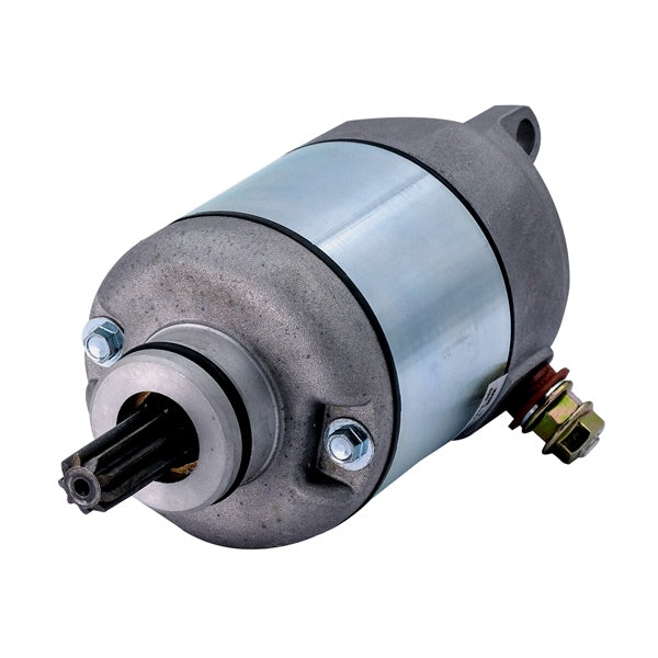 STARTER YAM ARROWHEAD