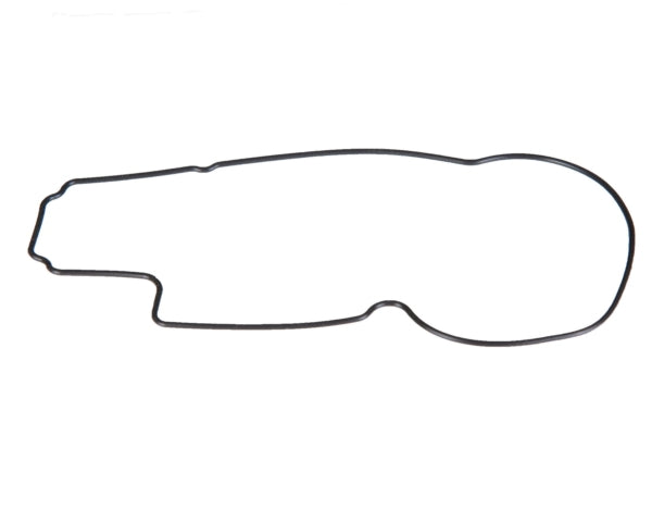 FLOAT CHAMBER GASKET