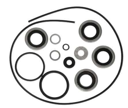 LOWER UNIT GASKET KIT
