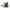 STARTER MOTOR ARROWHEAD BRP