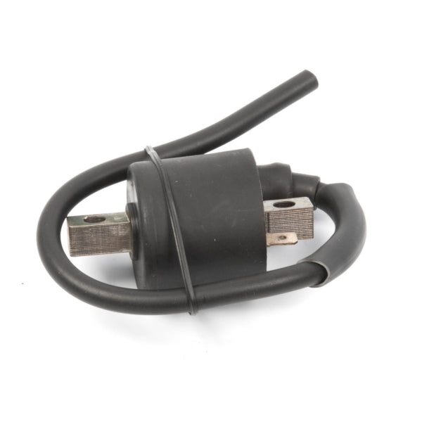 IGNITION COIL POL KIMPEX
