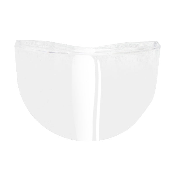 SHIELD VALIANT CLR A/FOG LS2