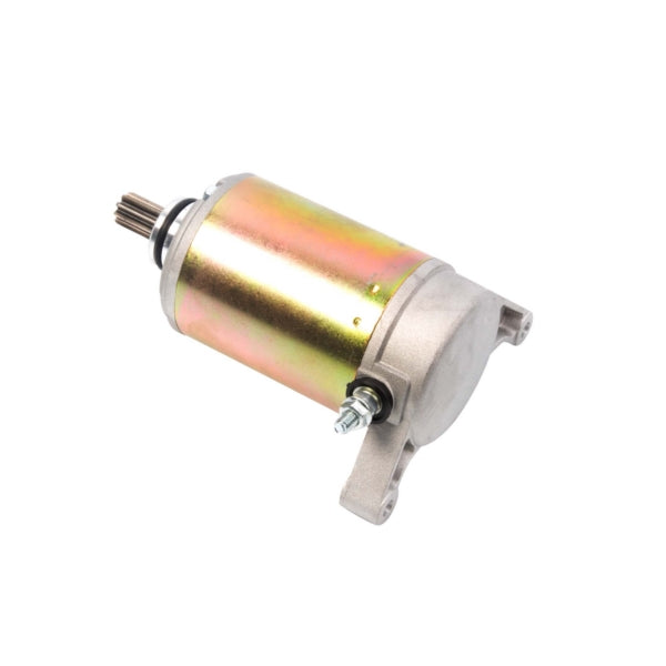 STARTER YAM ARROWHEAD