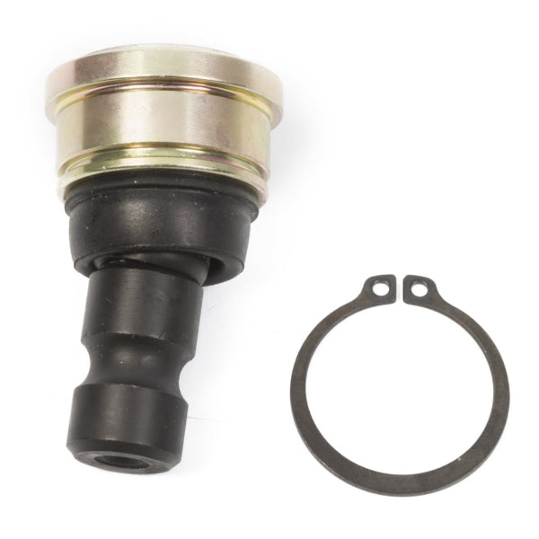 BALL JOINT LWR/UPR POL ALLBALLS