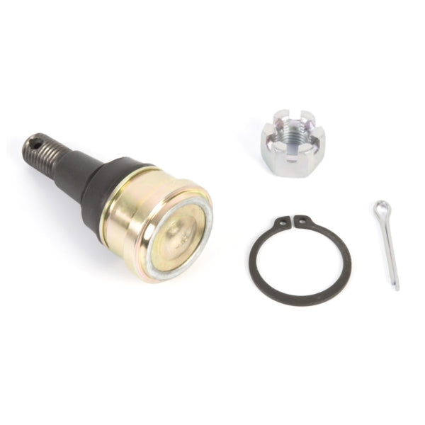 BALL JOINT LWR/UPR POL ALLBALLS