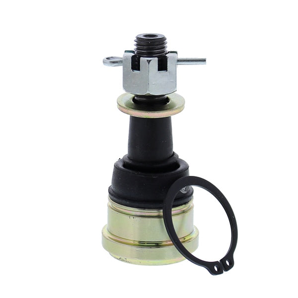 BALL JOINT LWR/UPR POL ALLBALLS