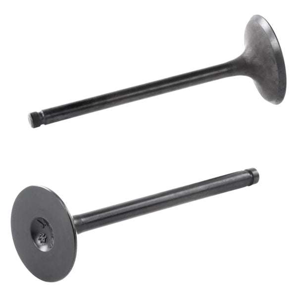 INTAKE VALVE SUZ SHINDY QTY2