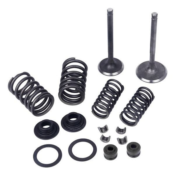 ENGINE VALVE KIT H-70-110CC