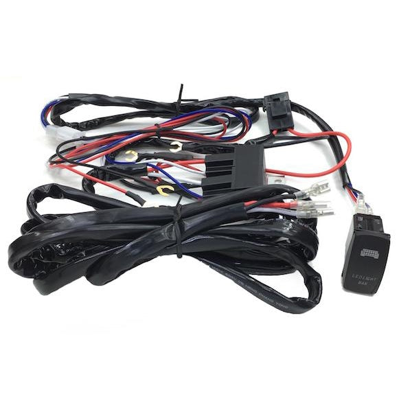 Electronic Cables - Dual Color Wire Harness