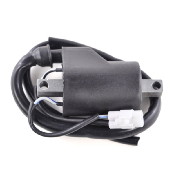 IGNITION COIL POL KIMPEXHD