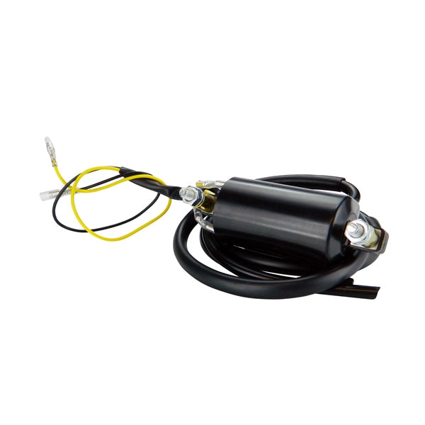 IGNITION COIL EXT UNIV 6V KIMPEXHD