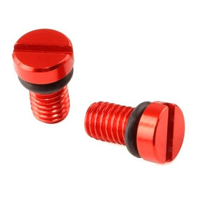 AIR VALVE CAP SCREW KYB/SHOWA RD QTY2