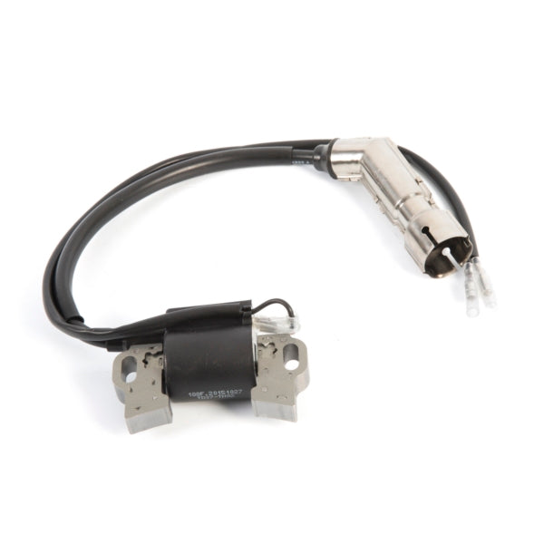 IGNITION COIL ASSY. (258337)