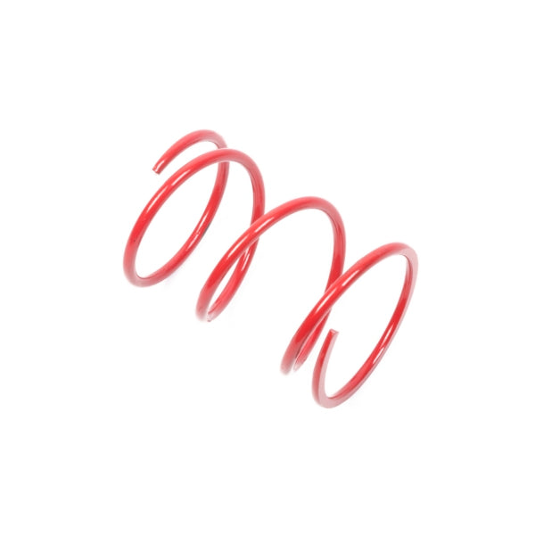 SPRING SECONDARY RD/BK TEAM