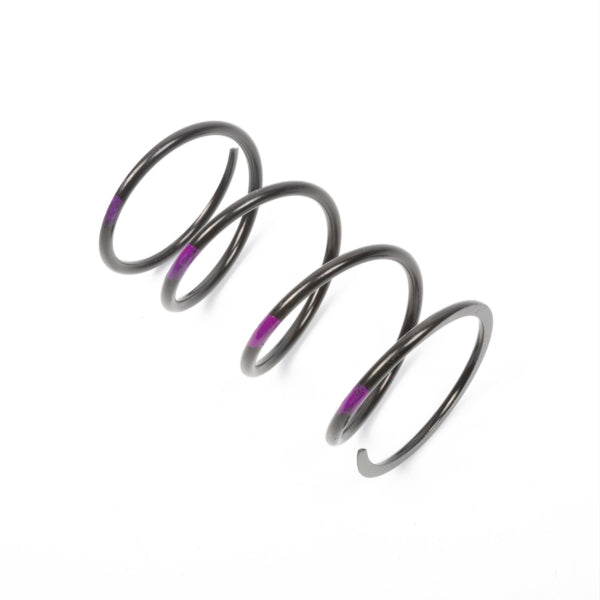 SPRING SECONDARY BK/PU TEAM