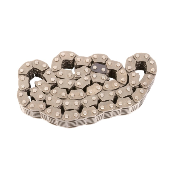 80 LINK 3/4"WIDE BORG WARNER SILENT