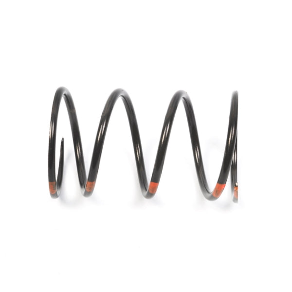 SPRING SECONDARY BK/OG TEAM