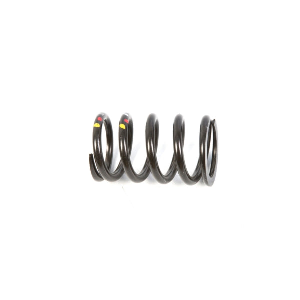 Clutch Springs - Pulley Spring