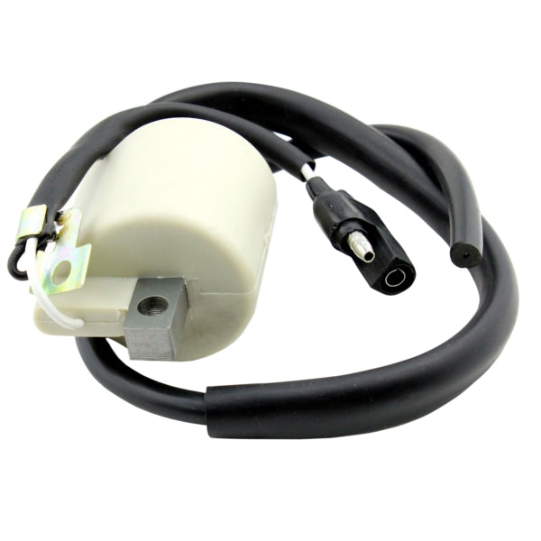 IGNITION COIL EXT BRP KIMPEXHD