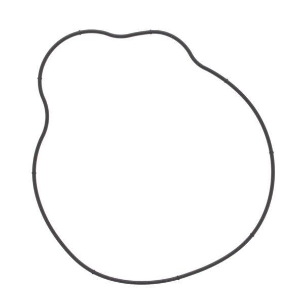 IGNITION COVER GASKET POL