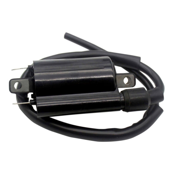 IGNITION COIL EXT A/C KIMPEXHD