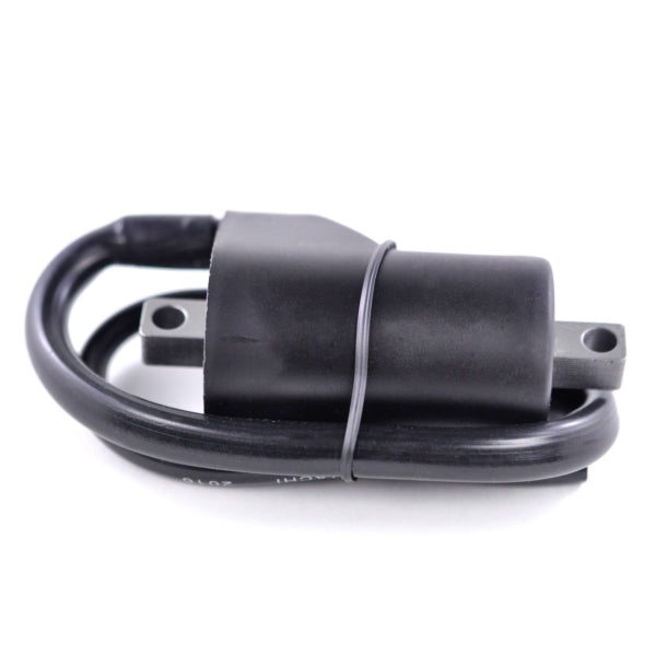 IGNITION COIL EXT W/CAP POL KIMPEXHD