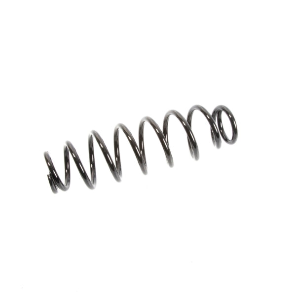 SUSPENSION SPRING EPI