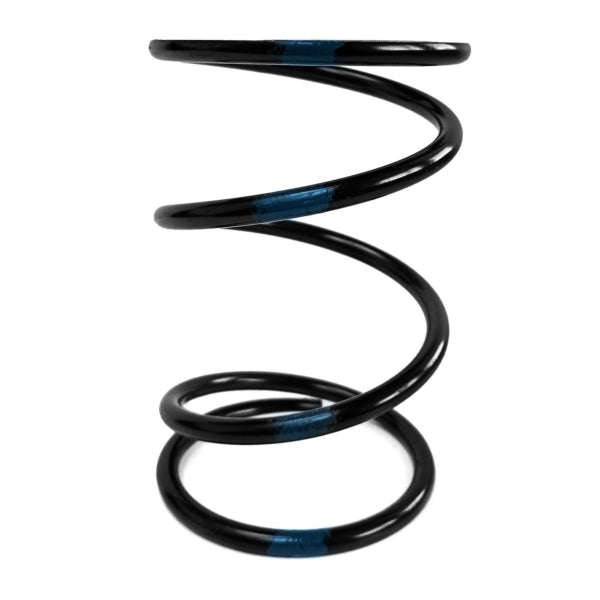 CLUTCH SPRING EPI