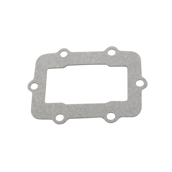 REED GASKET SKI-DOO WINDEROSA