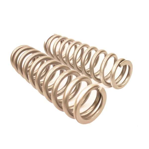 Suspension Springs - Overload Lift Spring Kit