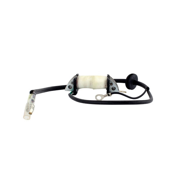 Ignition Coils - Ignition/Stator Coil