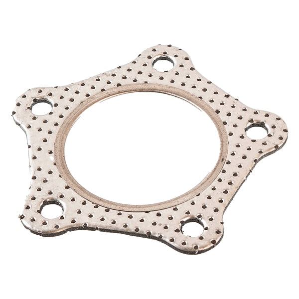 Exhaust Gaskets - Gasket for APX Exhaust